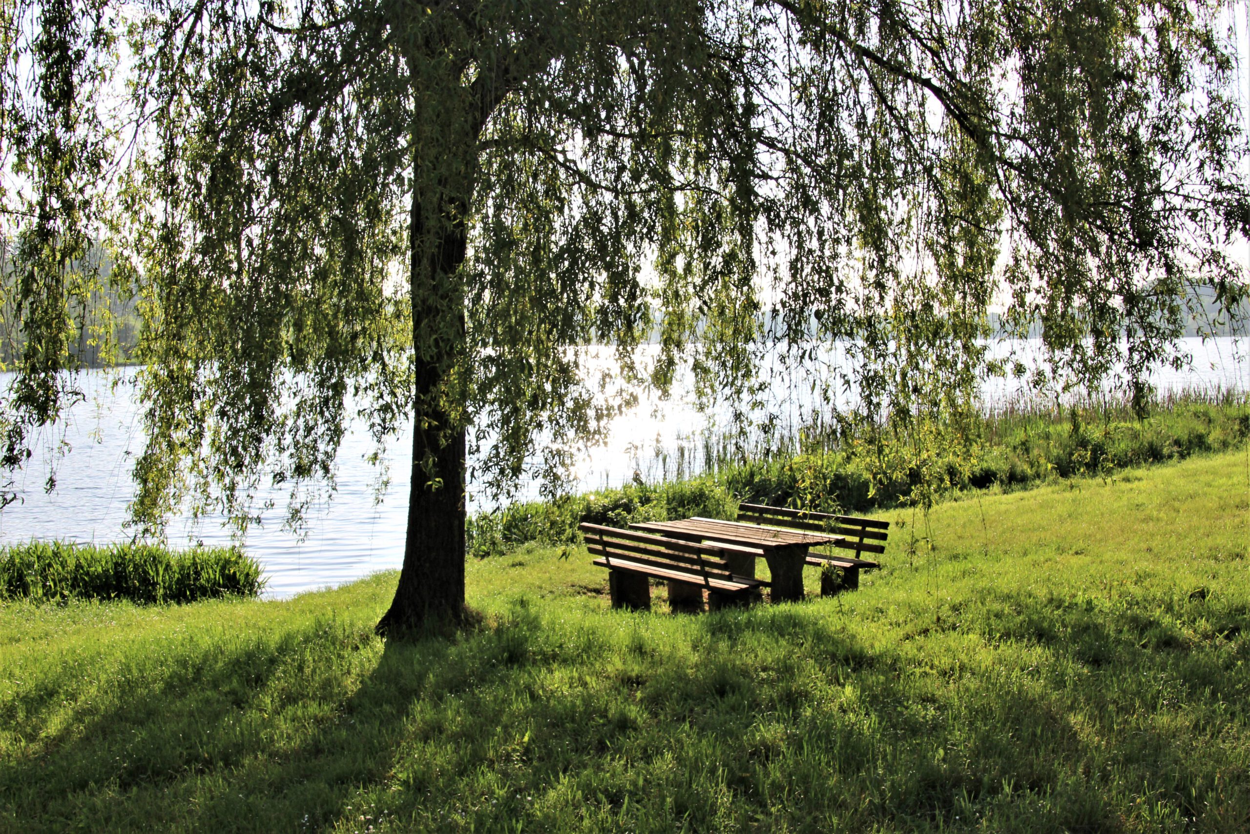 Gemeinde Losheim am See