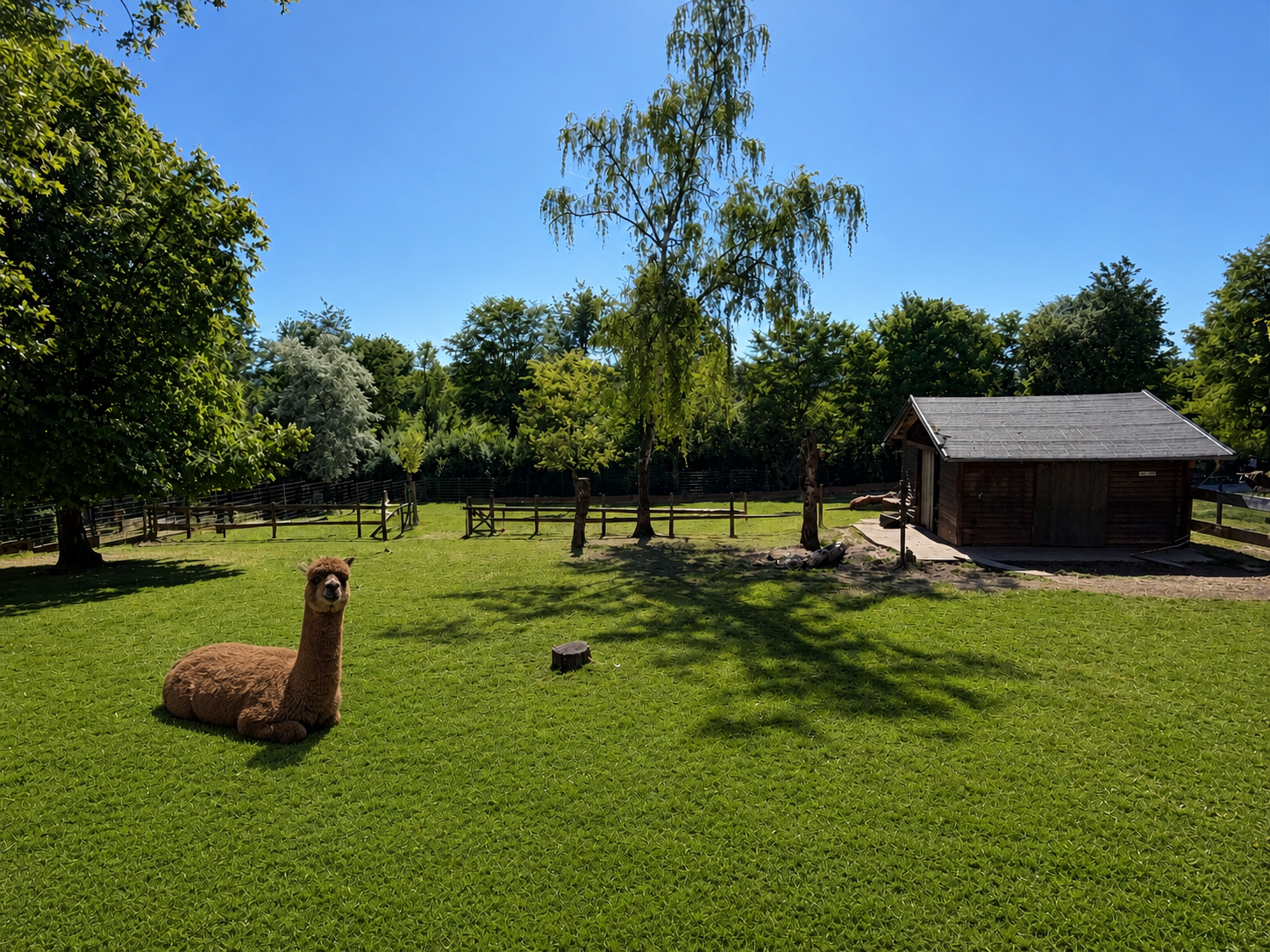 Tierpark Merzig