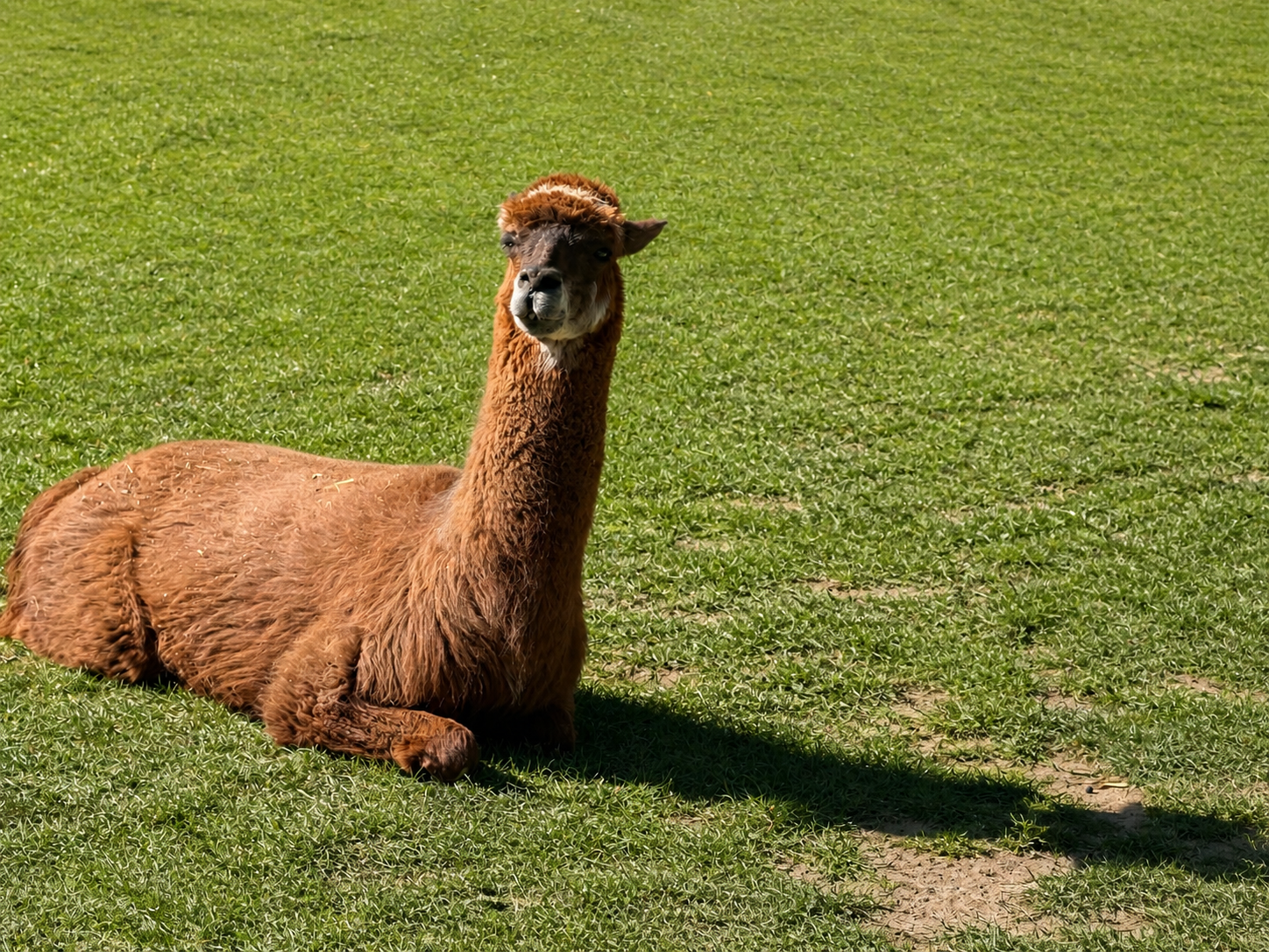 Tierpark Merzig